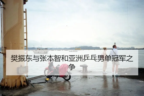 樊振东与张本智和亚洲乒乓男单冠军之争